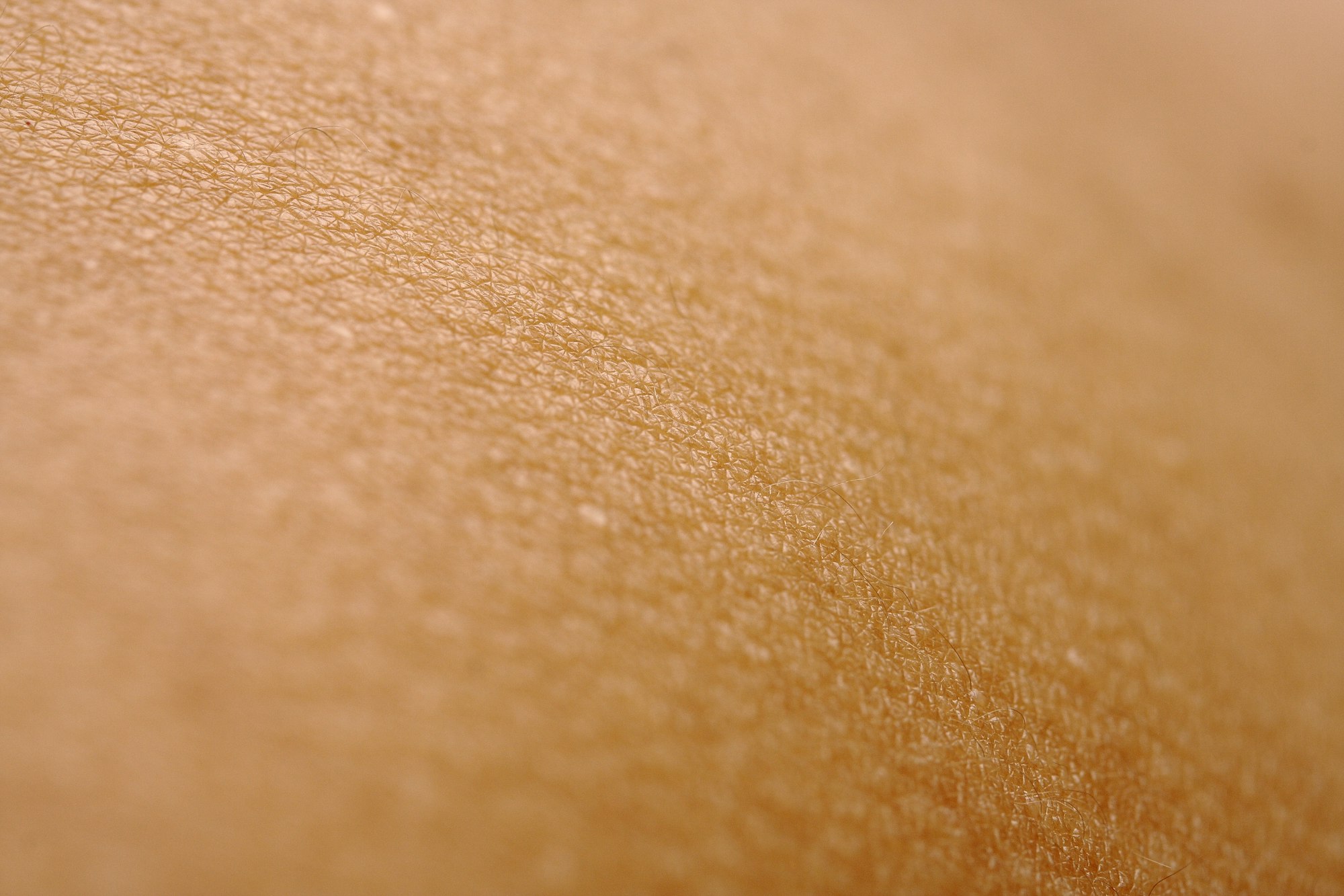 Extreme close-up of healthy, luminous skin texture in warm golden tones.